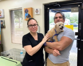 Illustration de l'article : Déprimée dans un refuge, cette chienne retrouve l’espoir grâce à une vidéo TikTok qui bouleverse sa vie (vidéo)