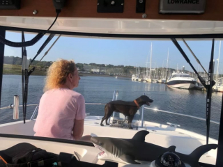 Illustration de l'article : Lorsqu’il est en mer, ce chien parle aux dauphins et en fait ses amis (vidéo)