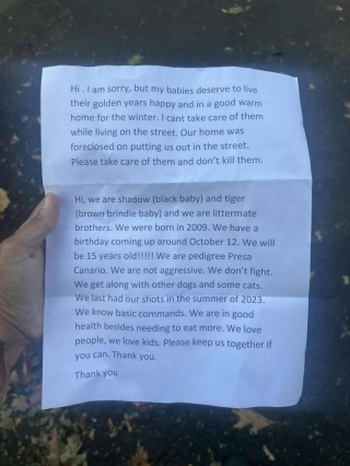 Illustration de l'article : 2 chiens abandonn&eacute;s devant un refuge sont retrouv&eacute;s avec un message d&eacute;chirant laiss&eacute; par leur propri&eacute;taire