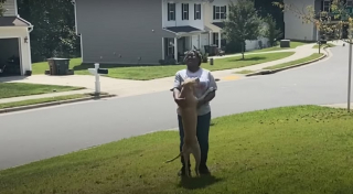 Illustration de l'article : Sage comme une image avec sa propriétaire, ce chien devient complètement foufou avec sa nounou