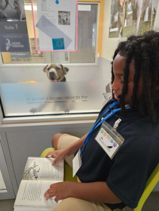 Illustration de l'article : Ce chien de refuge turbulent parvient &agrave; se calmer lorsqu&rsquo;un enfant lui fait la lecture
