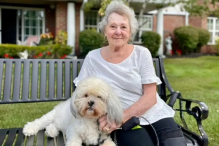 Illustration de l'article : Des personnes âgées viennent à la rescousse de vieux chiens de refuge en quête de bonheur