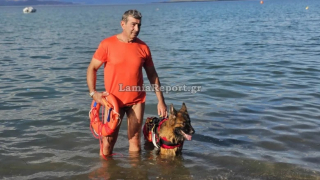 Illustration de l'article : Cette chienne h&eacute;ro&iuml;que aide &agrave; sauver un homme de la noyade