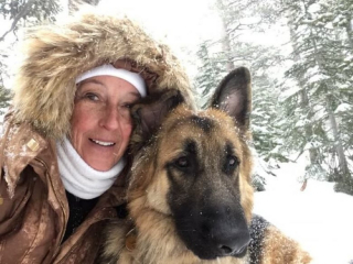 Illustration de l'article : Ce vieux chien victime d’un accident retrouve espoir grâce à l’amour d’une adoptante