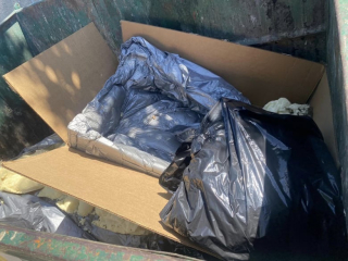 Illustration de l'article : 3 chiots découverts abandonnés dans une benne à ordures et sauvés in extremis cherchent un nouveau départ