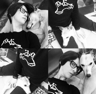 Illustration de l'article : Une femme se glisse dans la peau d’un chien pendant une journée et partage ce que cette expérience lui a appris