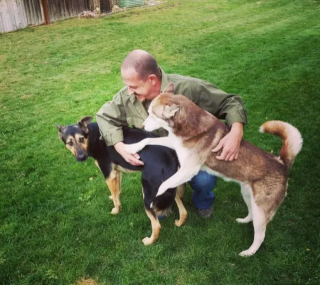 Illustration de l'article : 12 chiens qui savent très bien comment capter l’attention de leurs propriétaires