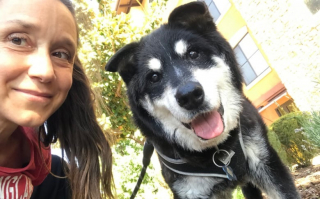 Illustration de l'article : Un vieux chien abandonné dans un état déplorable retrouve le sourire grâce à une intervention providentielle