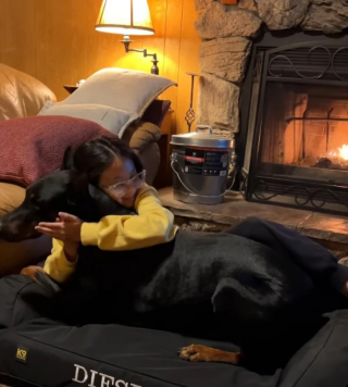 Illustration de l'article : Cette maman a fait une compilation des souvenirs photo de sa fille grandissant avec le chien de la maison (vidéo)