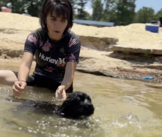 Illustration de l'article : Ce chiot Labrador se lance avec courage dans sa toute premi&egrave;re baignade (vid&eacute;o)