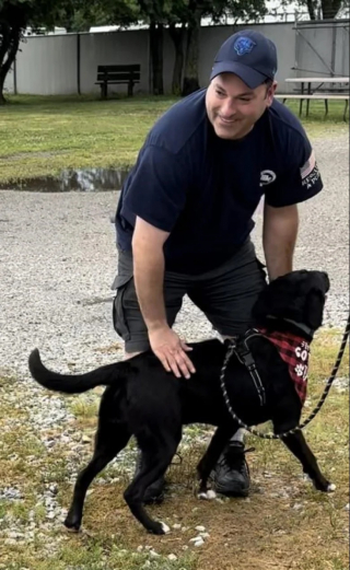 Illustration de l'article : Ce chien placé en refuge depuis 458 jours devient fou de joie après l’annonce d’une bonne nouvelle (vidéo)