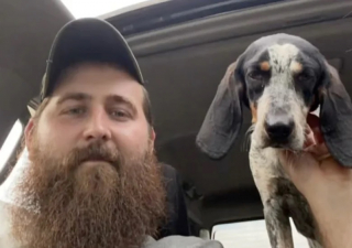 Illustration de l'article : Un homme endeuill&eacute; par la perte de son chien fait la rencontre d&rsquo;un animal errant qui lui redonne le sourire (vid&eacute;o)