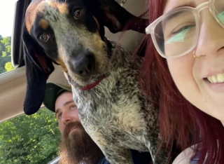 Illustration de l'article : Un homme endeuill&eacute; par la perte de son chien fait la rencontre d&rsquo;un animal errant qui lui redonne le sourire (vid&eacute;o)