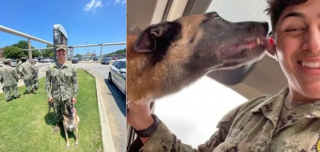 Illustration de l'article : Grâce à une association, ce chien militaire à la retraite parvient à retrouver son maître après plus d’un an et demi de séparation