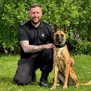 Illustration de l'article : Cette chienne pleine d’énergie inadaptée à la vie de famille trouve sa vocation en devenant l’assistante d’un humain