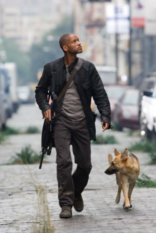 Illustration de l'article : Plus de 15 ans plus tard, le célèbre acteur Will Smith rend hommage à son compagnon chien du film Je suis une Légende (vidéo)