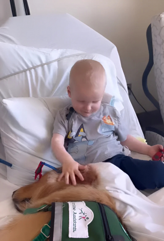 Illustration de l'article : Ce Golden Retriever sait comment redonner le sourire à un petit garçon atteint d’un cancer lors de ses visites à l’hôpital (vidéo)