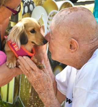 Illustration de l'article : En l’honneur de ses 95 ans, ce retraité amoureux des chiens reçoit le plus beau des cadeaux (vidéo)