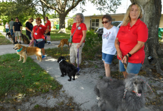 Illustration de l'article : En l’honneur de ses 95 ans, ce retraité amoureux des chiens reçoit le plus beau des cadeaux (vidéo)