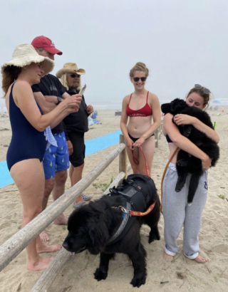 Illustration de l'article : À 11 mois, Bell, la chienne Terre-Neuve future sauveteur en mer, suit sa formation avec assiduité 