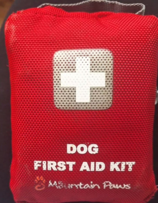 Illustration de l'article : Une chienne fait une allergie durant une promenade et sa maîtresse la soigne grâce à sa trousse de secours (vidéo)