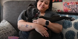 Illustration de l'article : L’association PETA tente de sauver un chien victime de négligence, mais son propriétaire abusif refuse qu’on l’approche