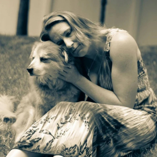 Illustration de l'article : Ce chien rusé dupe sa propriétaire pour qu’elle lui donne des friandises en récompense d’une bonne action