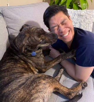 Illustration de l'article : Après avoir été 3 fois adoptée et 3 fois rejetée, cette chienne de refuge se tourne vers sa famille d’accueil