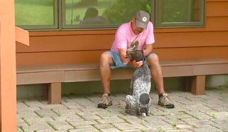 Illustration de l'article : Alors que le chien d’assistance d’un vétéran demeure introuvable, un garçon de 11 ans se lance à sa recherche