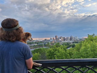 Illustration de l'article : Cette vieille chienne sourde et aveugle voyage avec son maître pour découvrir tous les ponts de la région