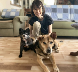 Illustration de l'article : Ce chien &acirc;g&eacute; rejoint une famille d&rsquo;accueil qui va changer sa vie &agrave; jamais