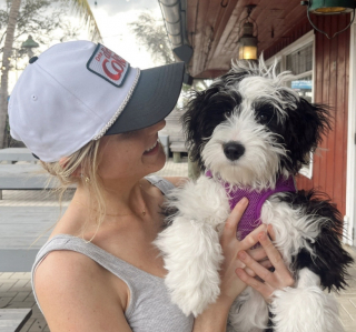 Illustration de l'article : Confiée à une pension canine pour se faire des amis, une chienne surprend tout le monde avec son attitude