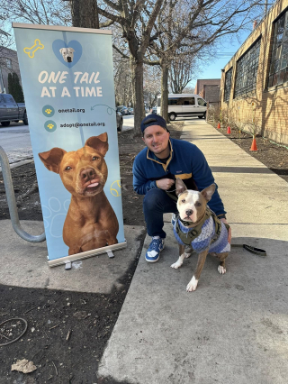 Illustration de l'article : Maigre et frissonnant, un chien recroquevillé sur un banc d’arrêt de bus retrouve espoir grâce à un bon samaritain (vidéo)