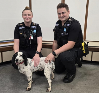 Illustration de l'article : Une chienne volée 8 ans plus tôt reconnaît sa première famille qui avait remué ciel et terre pour la retrouver