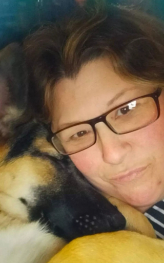 Illustration de l'article : Après une dizaine de jours de recherches et de nombreux kilomètres parcourus, une chienne qui s’était échappée de son chenil est finalement retrouvée