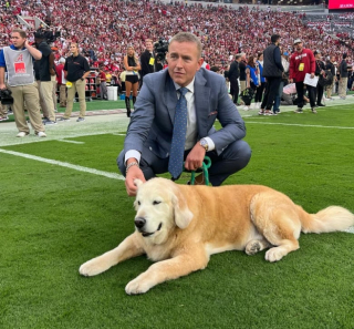 Illustration de l'article : Gravement malade, le chien d’un commentateur sportif reçoit le soutien de toute une communauté