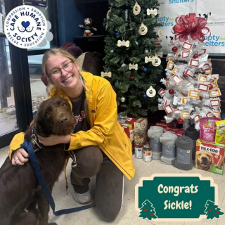 Illustration de l'article : Comblée par sa sortie avec une bénévole, une petite chienne de refuge la remercie de la plus tendre des manières (vidéo)