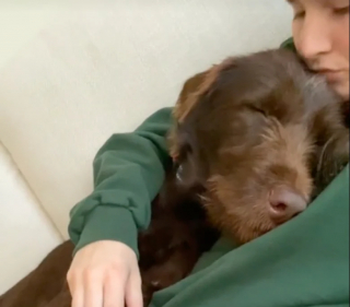 Illustration de l'article : Comblée par sa sortie avec une bénévole, une petite chienne de refuge la remercie de la plus tendre des manières (vidéo)