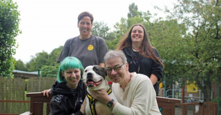 Illustration de l'article : Après avoir appris le langage des signes, cette chienne sourde trouve enfin une famille, mettant fin à une attente de 3 ans