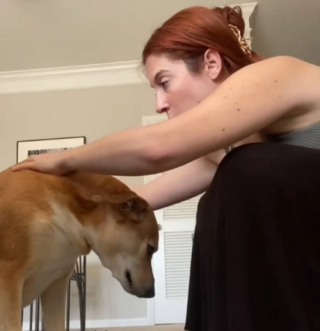 Illustration de l'article : N’ayant connu que la vie en appartement, une chienne de sauvetage découvre avec joie son nouveau jardin (vidéo)