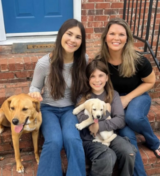 Illustration de l'article : Face à 11 chiots abandonnés, un couple se mobilise et entraîne tout son voisinage dans un sauvetage émouvant