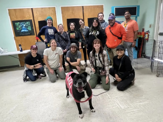 Illustration de l'article : L’équipe d’un refuge organise une petite fête d’adieu suite à l’adoption d’une chienne qui était présente depuis 1400 jours