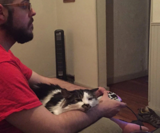 Illustration de l'article : 13 chats et chiens qui utilisent des stratagèmes ingénieux pour réclamer des câlins à leurs maîtres