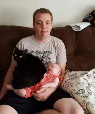 Illustration de l'article : 13 chats et chiens qui utilisent des stratagèmes ingénieux pour réclamer des câlins à leurs maîtres