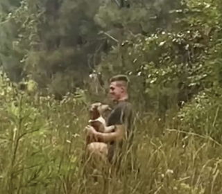 Illustration de l'article : Après avoir été trouvé grelottant sous la pluie au milieu des herbes, ce chien devient le meilleur ami de son sauveur