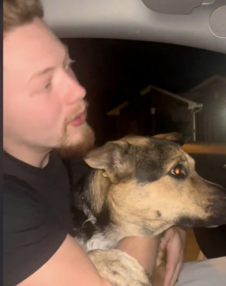 Illustration de l'article : Un chiot, effrayé par les feux d’artifice, trouve refuge sur les genoux d’un automobiliste bienveillant (vidéo)