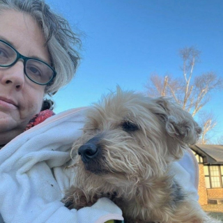 Illustration de l'article : Sourd et aveugle, ce petit chien sénior coincé dans une clôture est secouru après avoir disparu pendant 3 jours