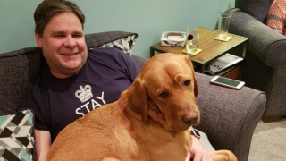 Illustration de l'article : Atteint d’un double cancer, ce chien-guide est escorté par près de 80 autres toutous pour sa dernière balade (vidéo)