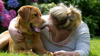 Illustration de l'article : Atteint d’un double cancer, ce chien-guide est escorté par près de 80 autres toutous pour sa dernière balade (vidéo)