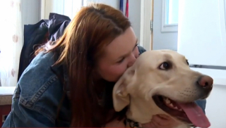 Illustration de l'article : Après une hémorragie de la patte, une chienne est sauvée de justesse grâce à l’aide d’une inconnue, malgré une pénurie de vétérinaires